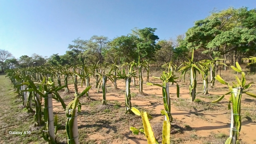 Commercial Property for Sale in Vaalwater Limpopo