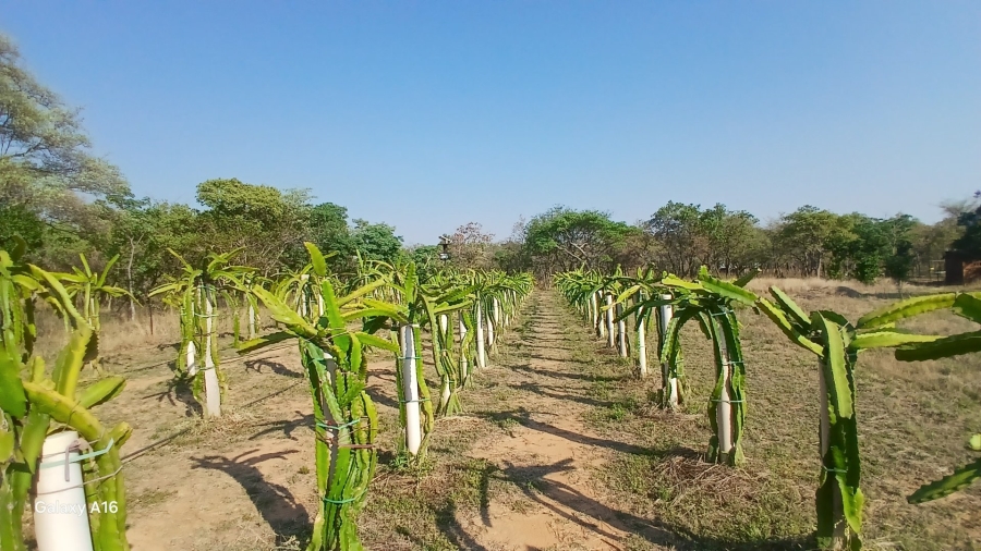 Commercial Property for Sale in Vaalwater Limpopo