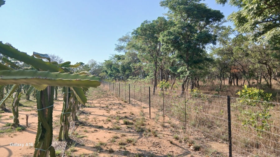 Commercial Property for Sale in Vaalwater Limpopo
