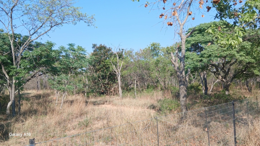 Commercial Property for Sale in Vaalwater Limpopo