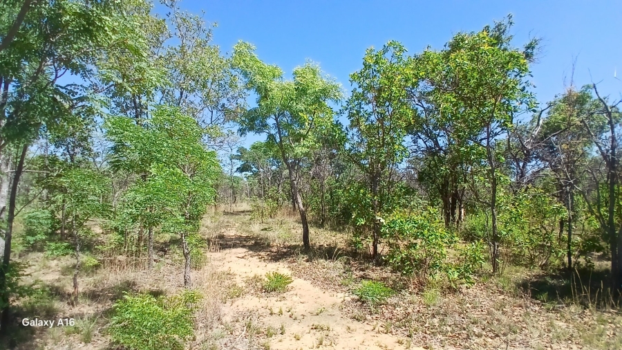 Commercial Property for Sale in Vaalwater Limpopo