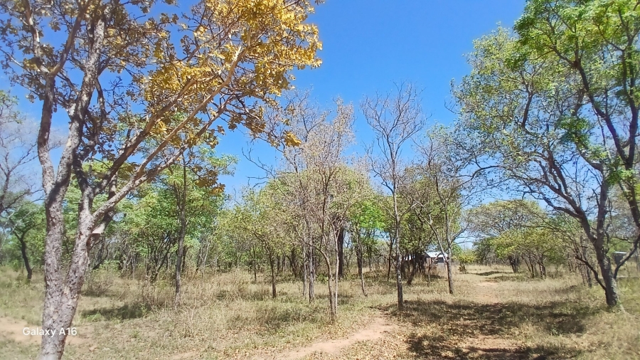 Commercial Property for Sale in Vaalwater Limpopo