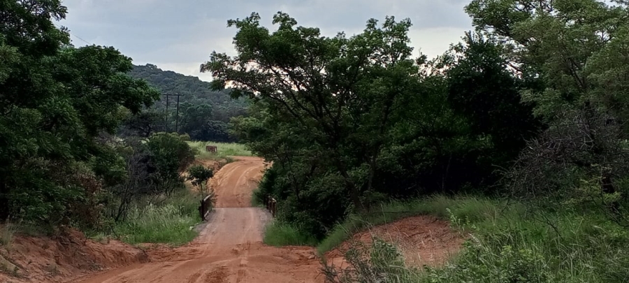 4 Bedroom Property for Sale in Vaalwater Limpopo