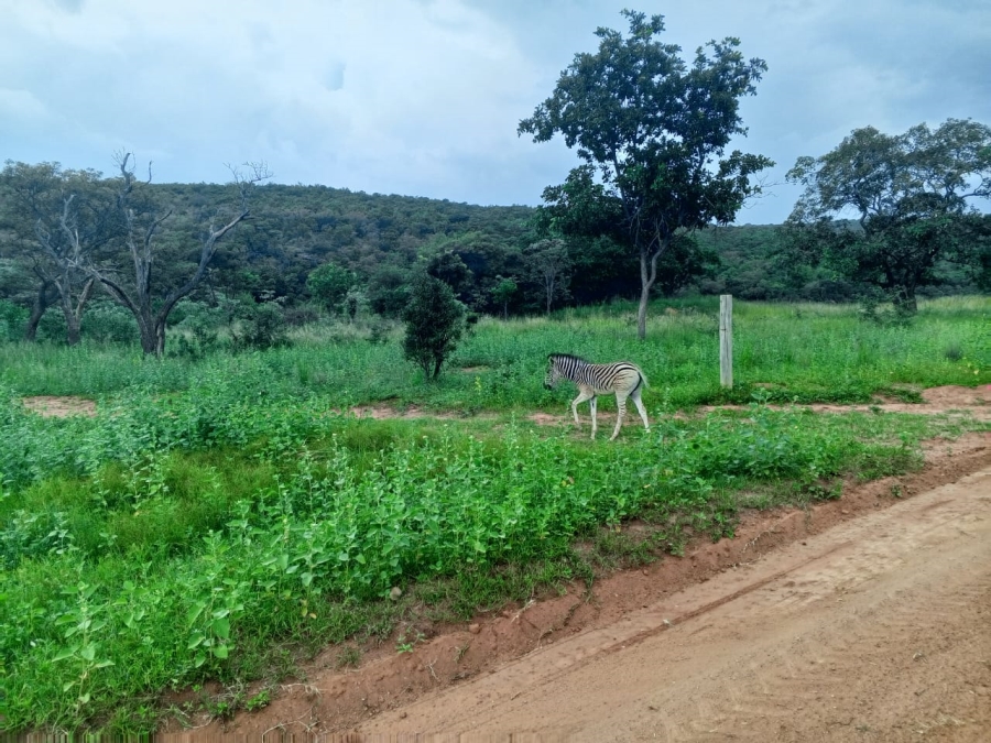 4 Bedroom Property for Sale in Vaalwater Limpopo