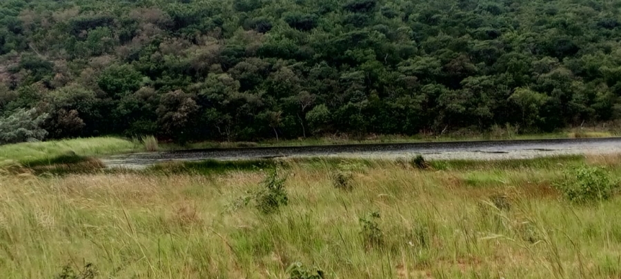 4 Bedroom Property for Sale in Vaalwater Limpopo