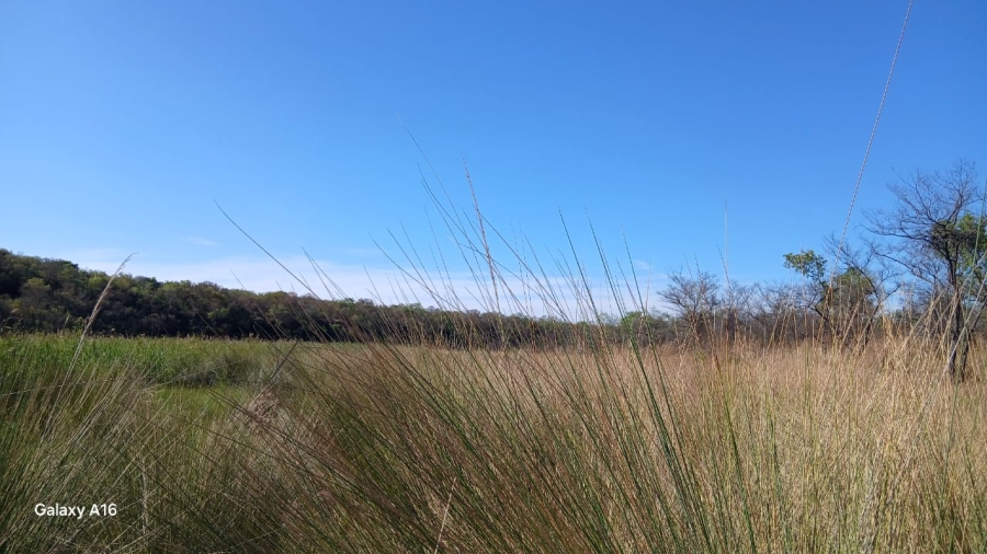 Commercial Property for Sale in Vaalwater Limpopo