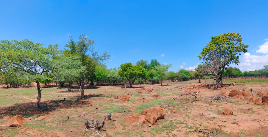 Commercial Property for Sale in Bela Bela Limpopo