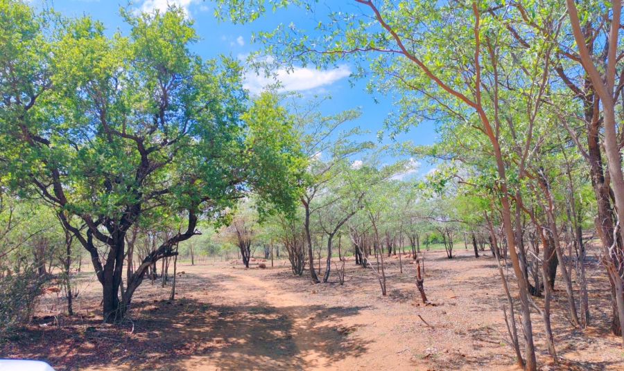 Commercial Property for Sale in Bela Bela Limpopo