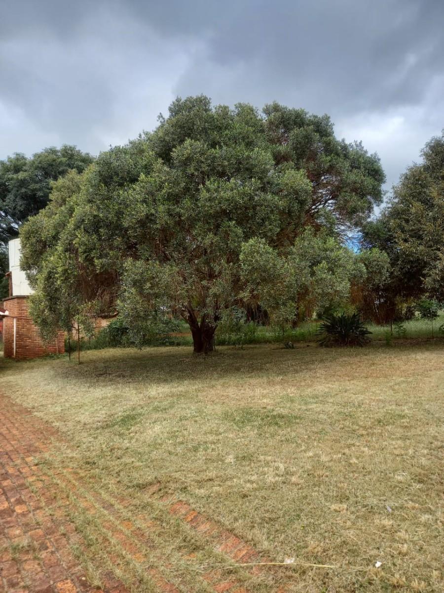 4 Bedroom Property for Sale in Laersdrif Limpopo