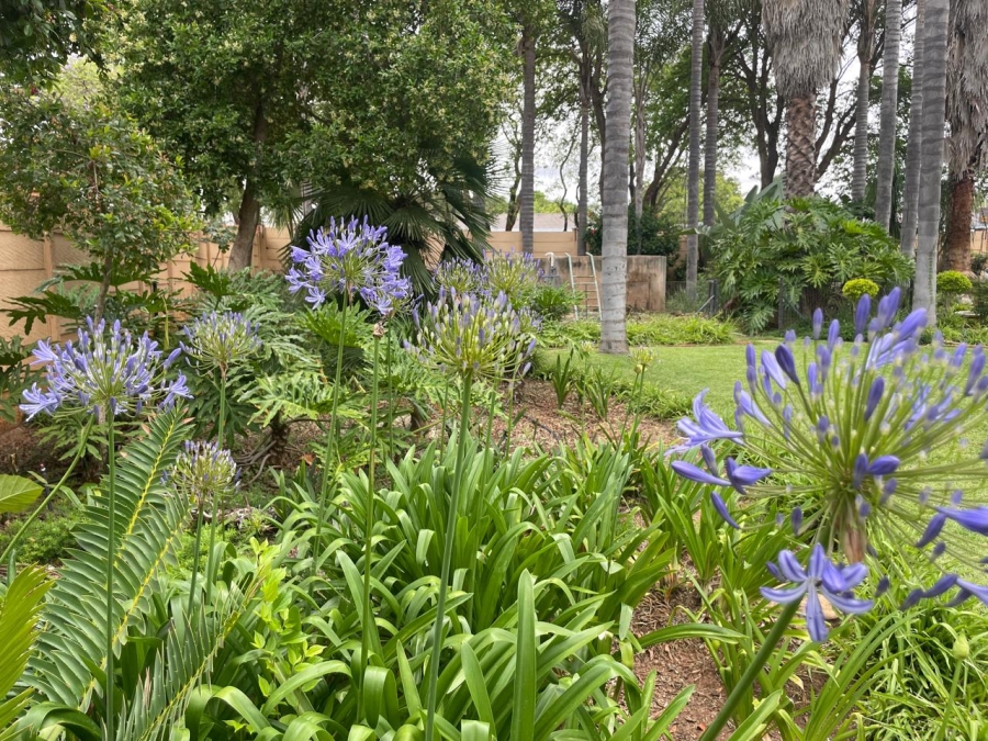 3 Bedroom Property for Sale in Polokwane Central Limpopo