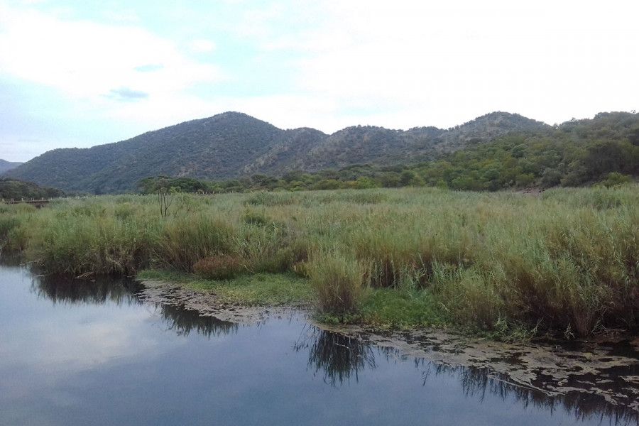 Commercial Property for Sale in Groblersdal Rural Limpopo