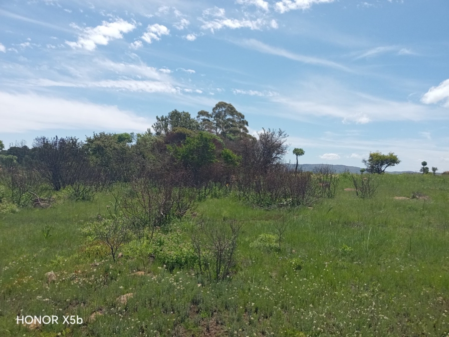 Commercial Property for Sale in Roossenekal AH Limpopo