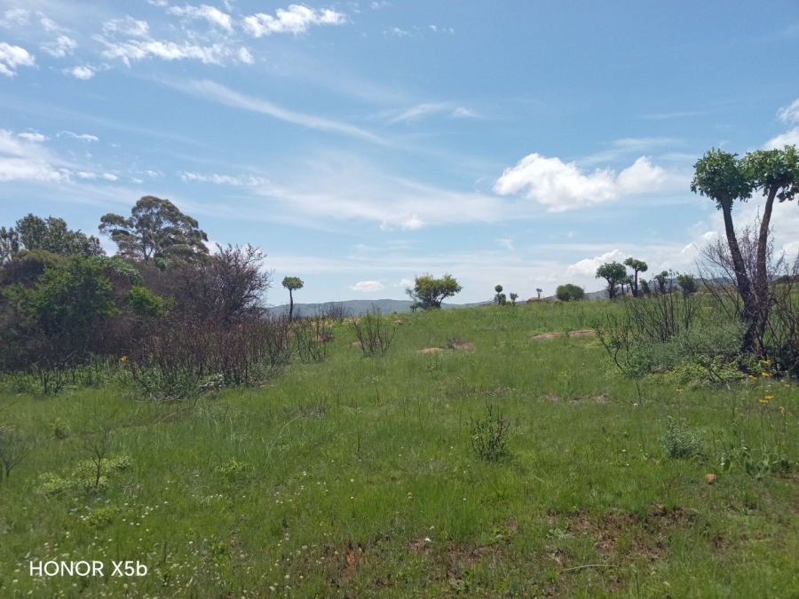 Commercial Property for Sale in Roossenekal AH Limpopo