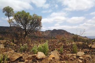 Commercial Property for Sale in Roossenekal AH Limpopo