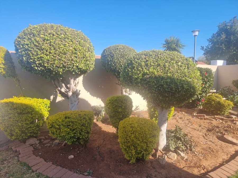 To Let 3 Bedroom Property for Rent in Polokwane Central Limpopo