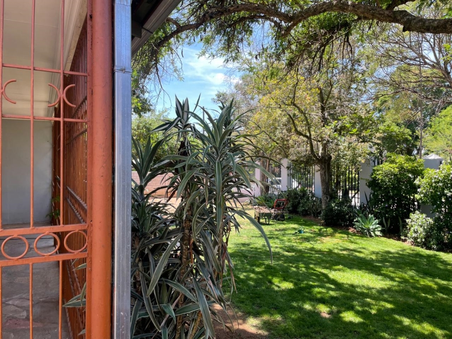 To Let 4 Bedroom Property for Rent in Capricorn Limpopo