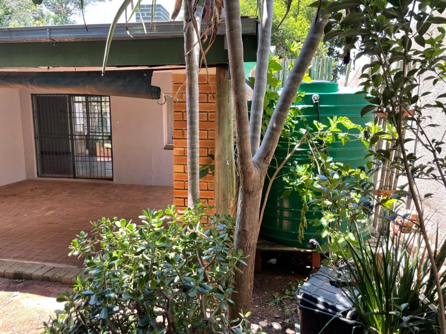 To Let 4 Bedroom Property for Rent in Capricorn Limpopo