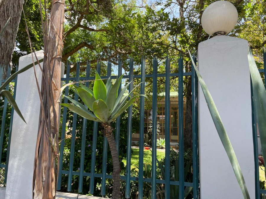 To Let 4 Bedroom Property for Rent in Capricorn Limpopo