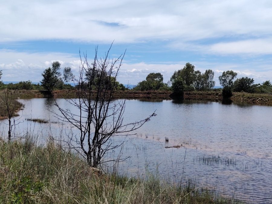 Commercial Property for Sale in Vaalwater Limpopo