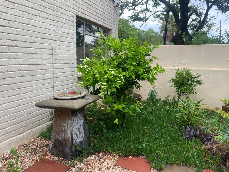 3 Bedroom Property for Sale in Polokwane Central Limpopo