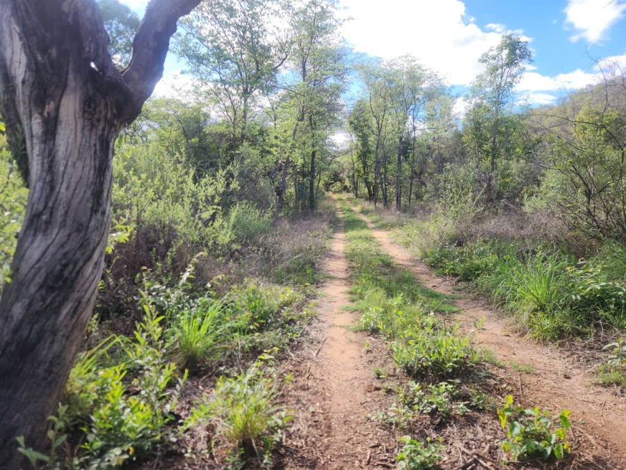 Commercial Property for Sale in Vaalwater Limpopo