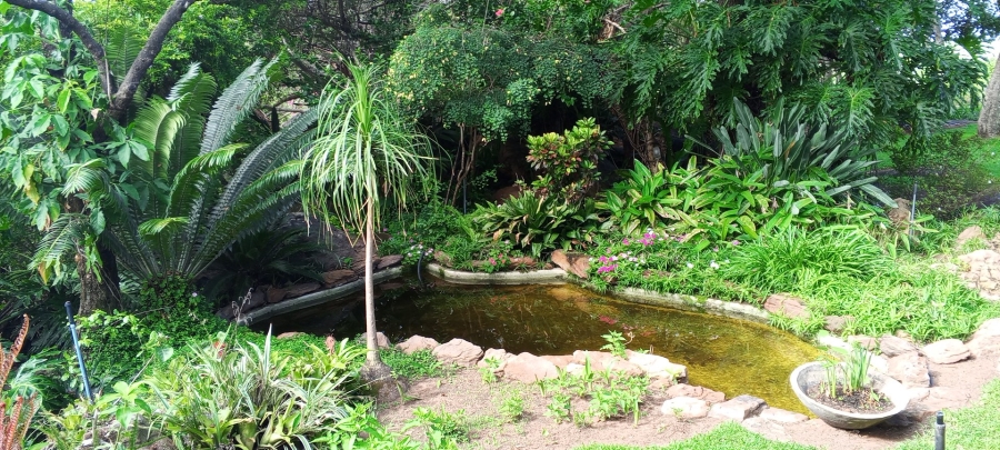 Commercial Property for Sale in Vaalwater Limpopo