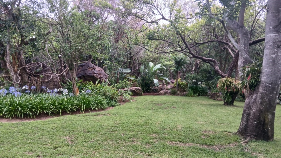 Commercial Property for Sale in Vaalwater Limpopo