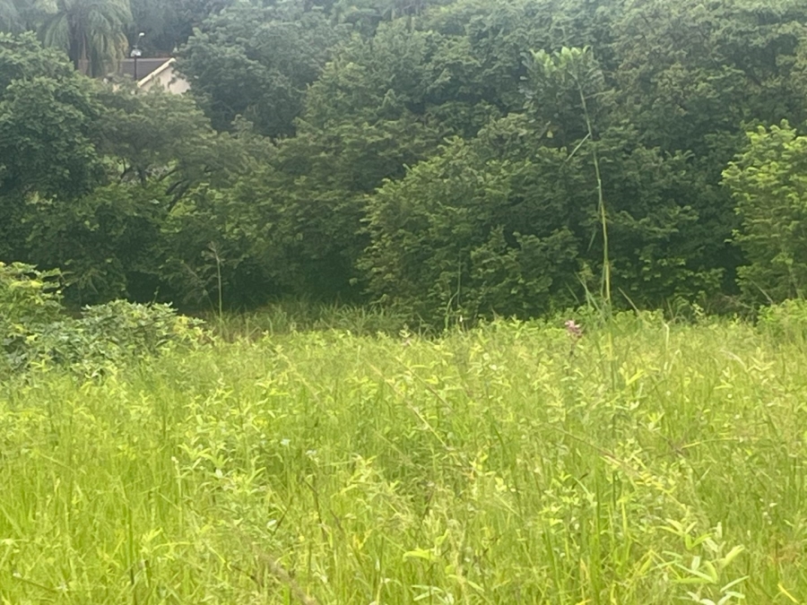 Commercial Property for Sale in Arborpark Limpopo