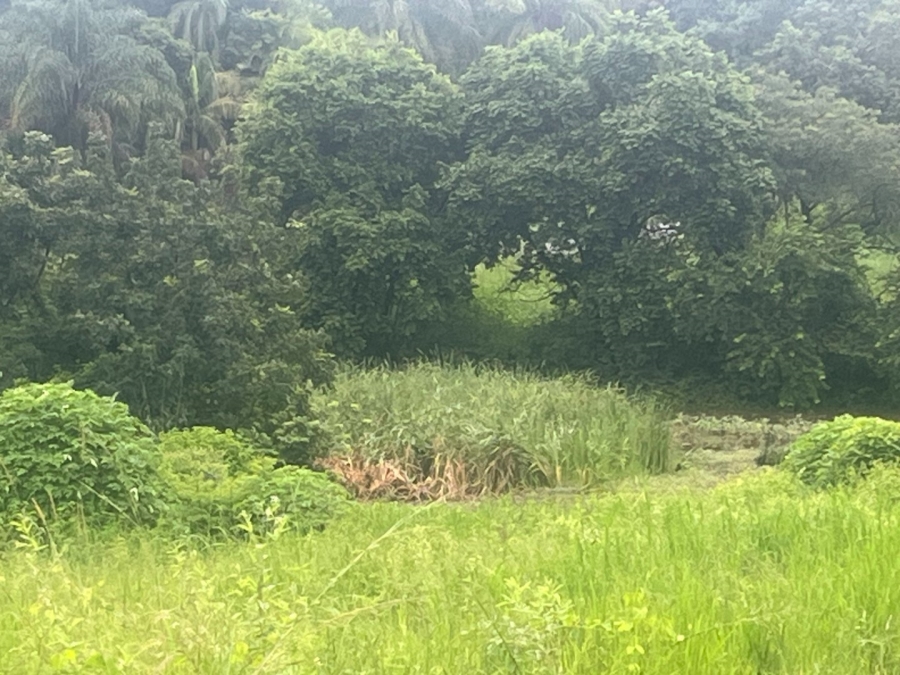 Commercial Property for Sale in Arborpark Limpopo