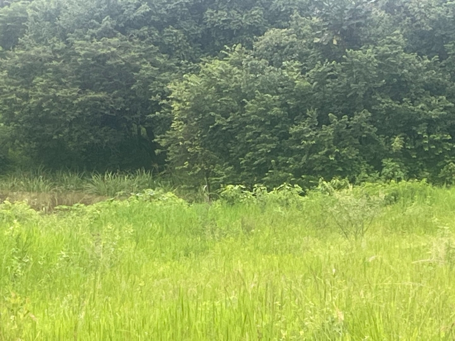 Commercial Property for Sale in Arborpark Limpopo