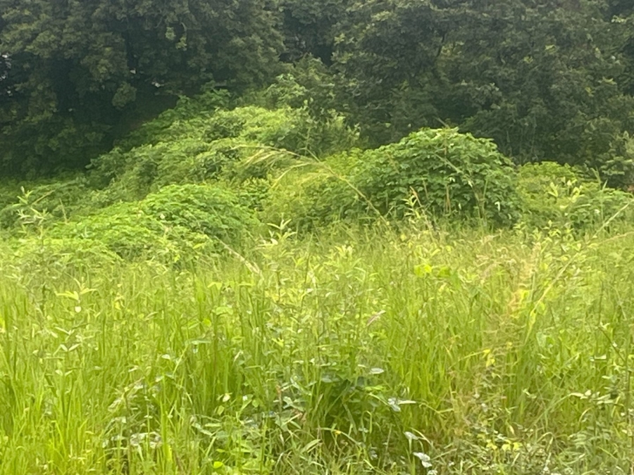 Commercial Property for Sale in Arborpark Limpopo