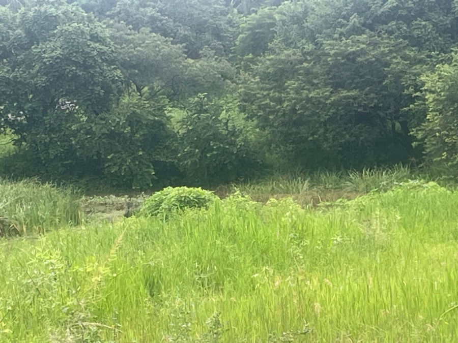 Commercial Property for Sale in Arborpark Limpopo