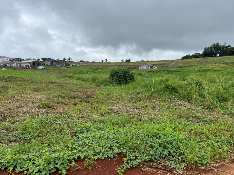 Commercial Property for Sale in Matumi Park Limpopo