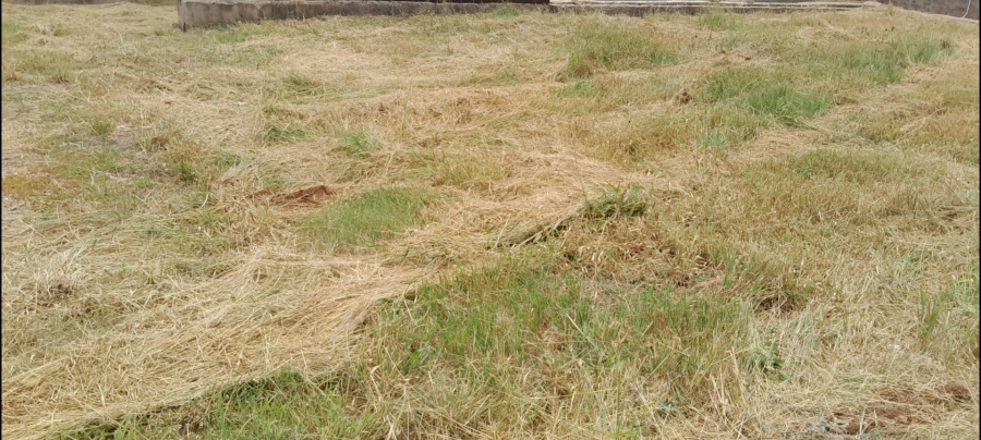 Commercial Property for Sale in Woodhill Estate Limpopo