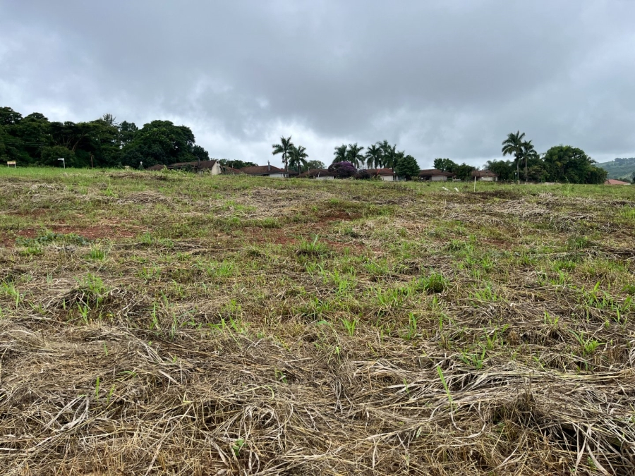 Commercial Property for Sale in Matumi Park Limpopo