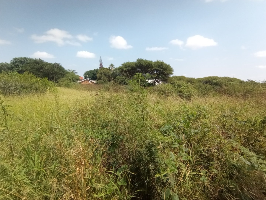 Commercial Property for Sale in Bendor Limpopo