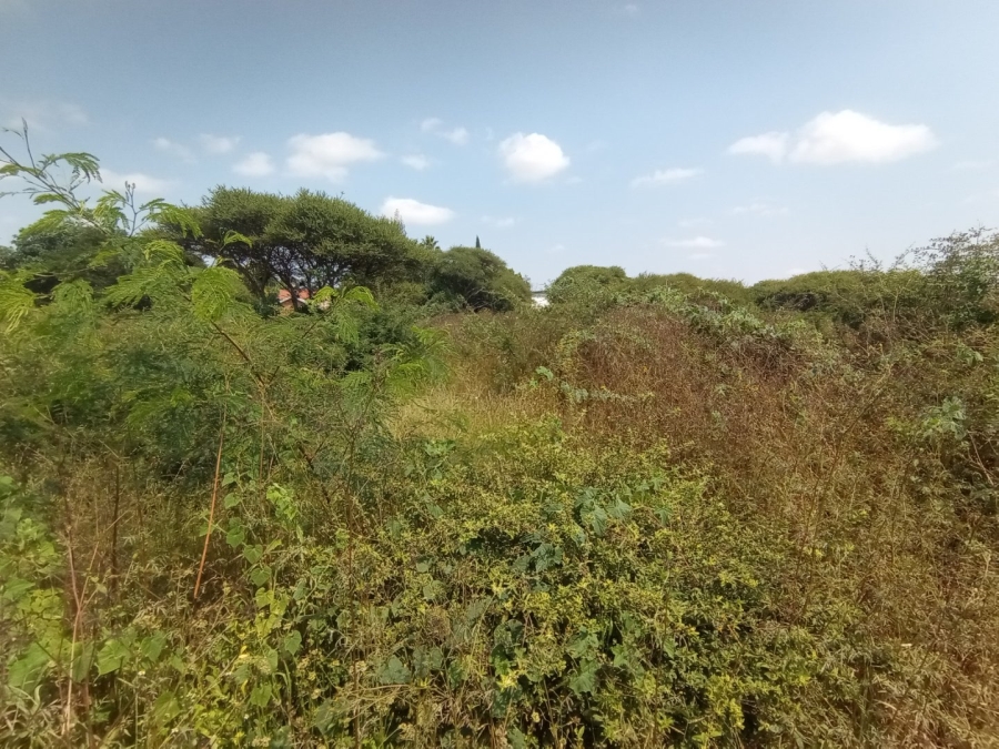 Commercial Property for Sale in Bendor Limpopo