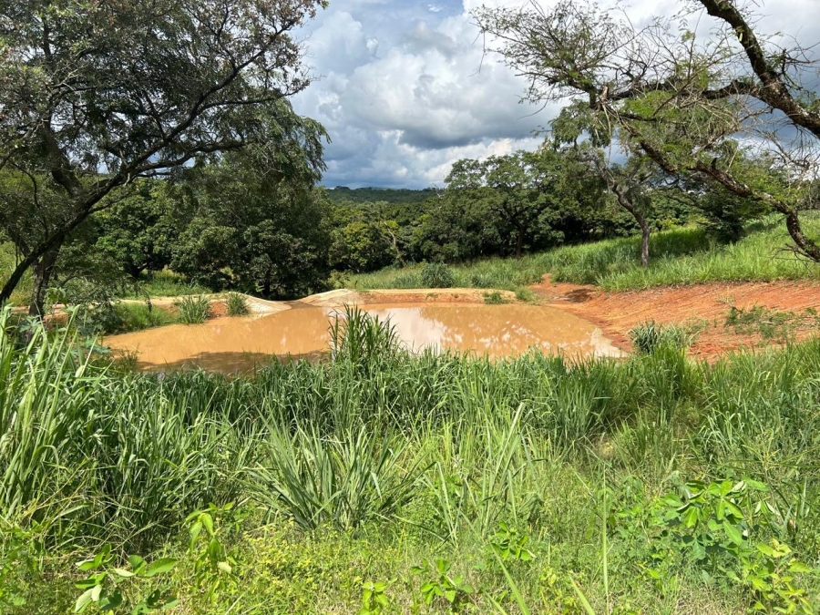 Commercial Property for Sale in Tzaneen Rural Limpopo