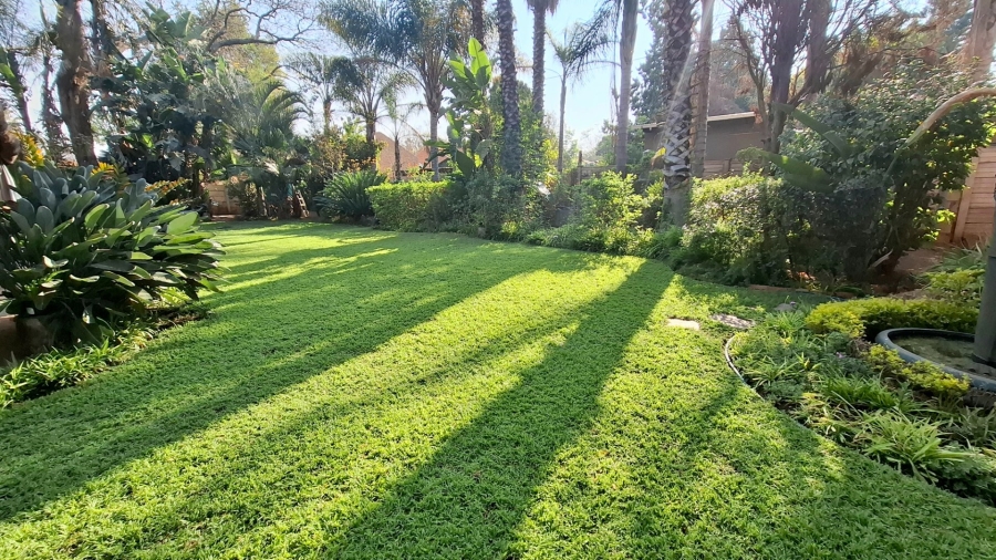 To Let 4 Bedroom Property for Rent in Polokwane Central Limpopo