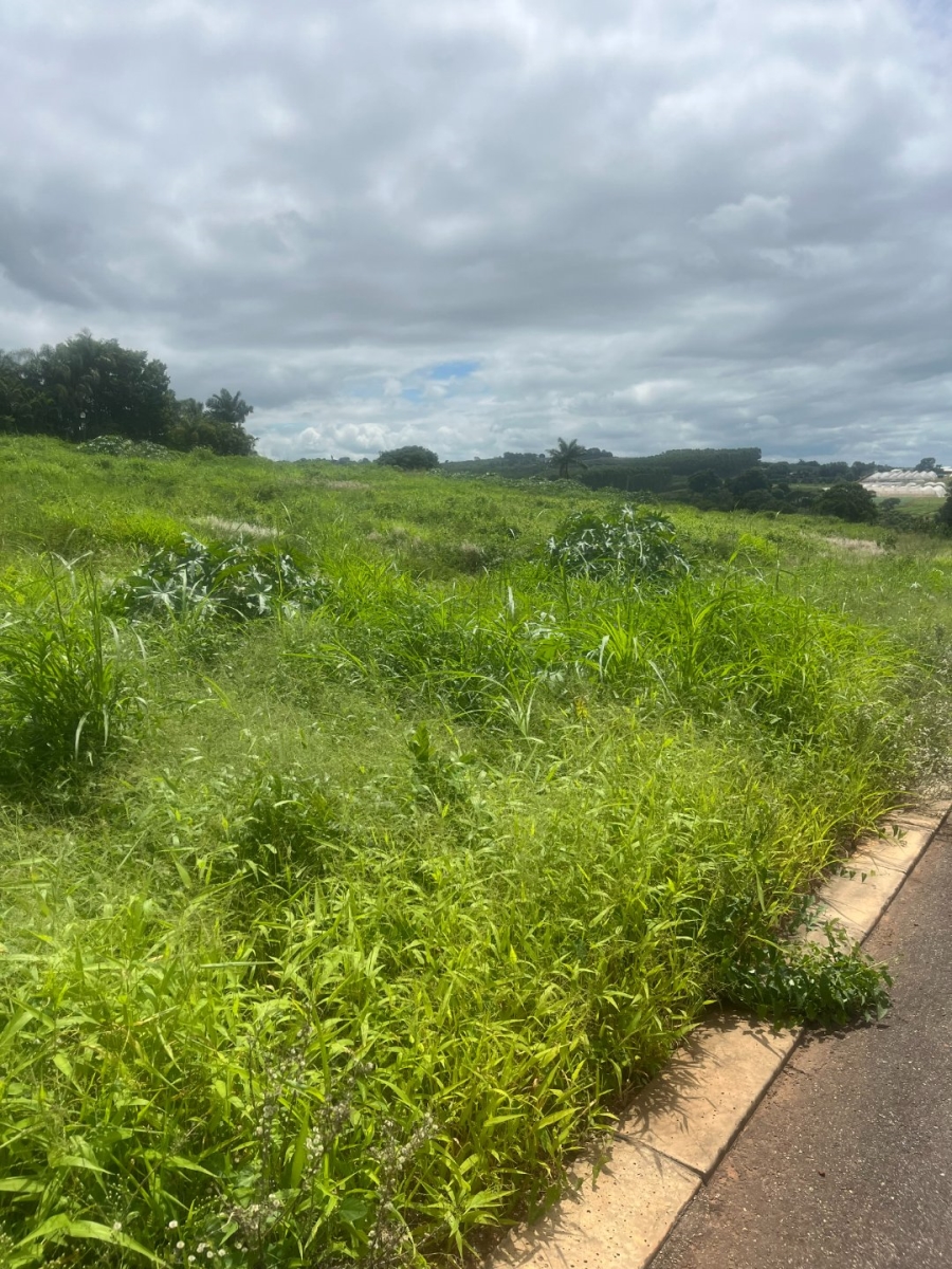  Bedroom Property for Sale in Matumi Park Limpopo