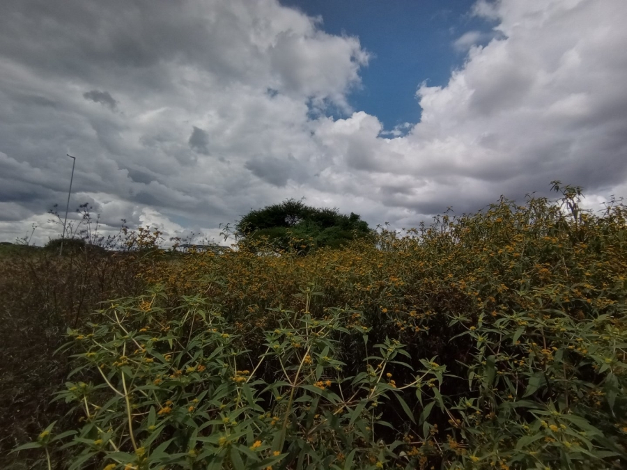 Commercial Property for Sale in Magna Via Industrial Limpopo