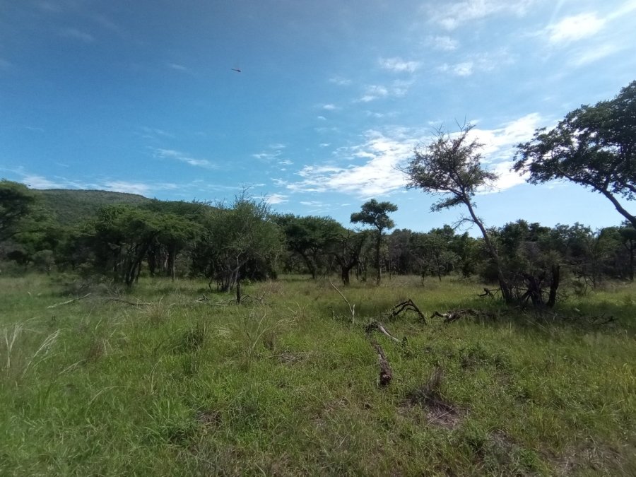Commercial Property for Sale in Mokopane Rural Limpopo