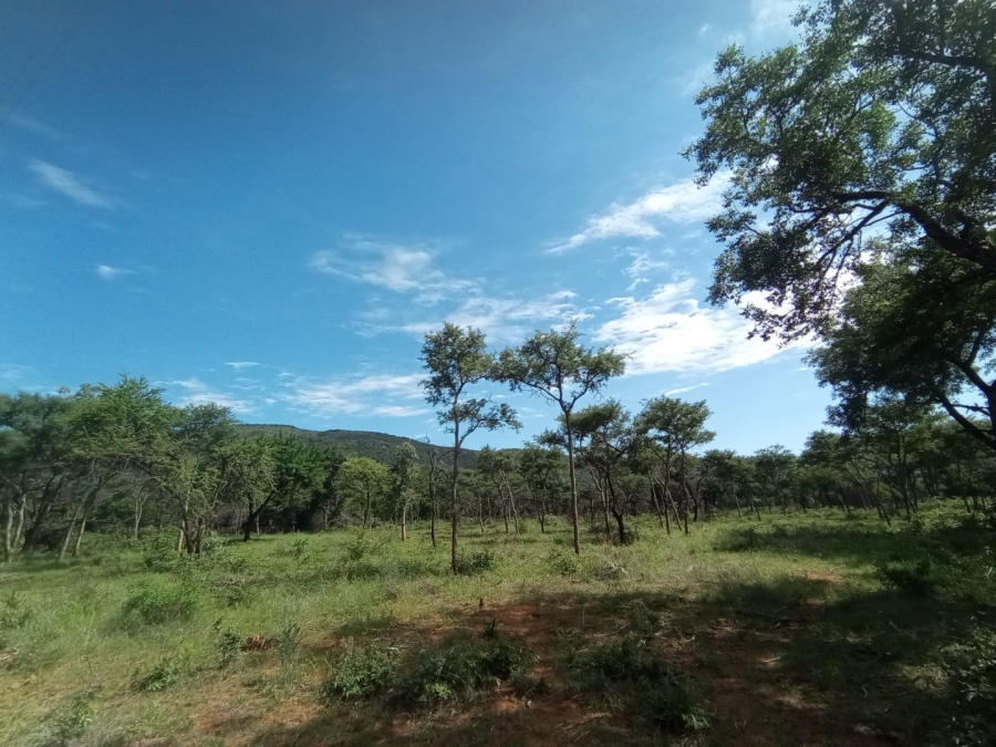 Commercial Property for Sale in Mokopane Rural Limpopo
