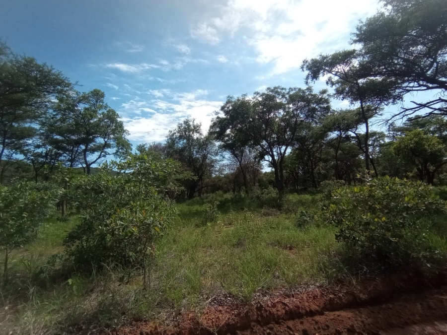 Commercial Property for Sale in Mokopane Rural Limpopo