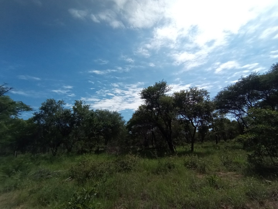 Commercial Property for Sale in Mokopane Rural Limpopo