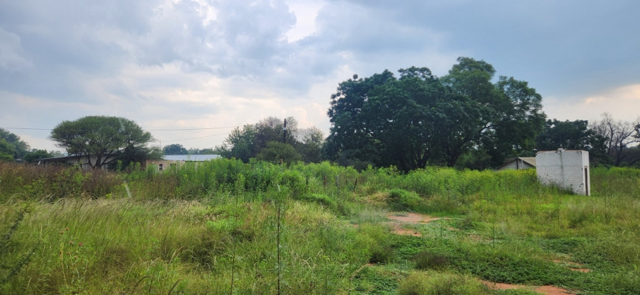 To Let commercial Property for Rent in Ivydale A H Limpopo