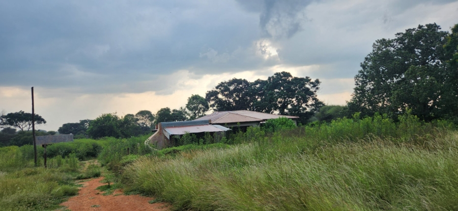 To Let commercial Property for Rent in Ivydale A H Limpopo