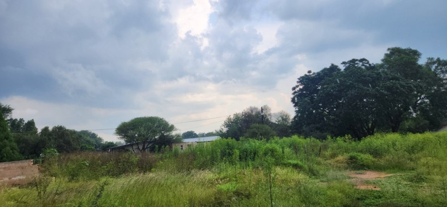 To Let commercial Property for Rent in Ivydale A H Limpopo