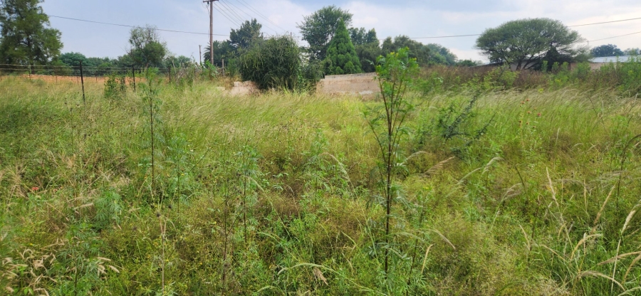 To Let commercial Property for Rent in Ivydale A H Limpopo