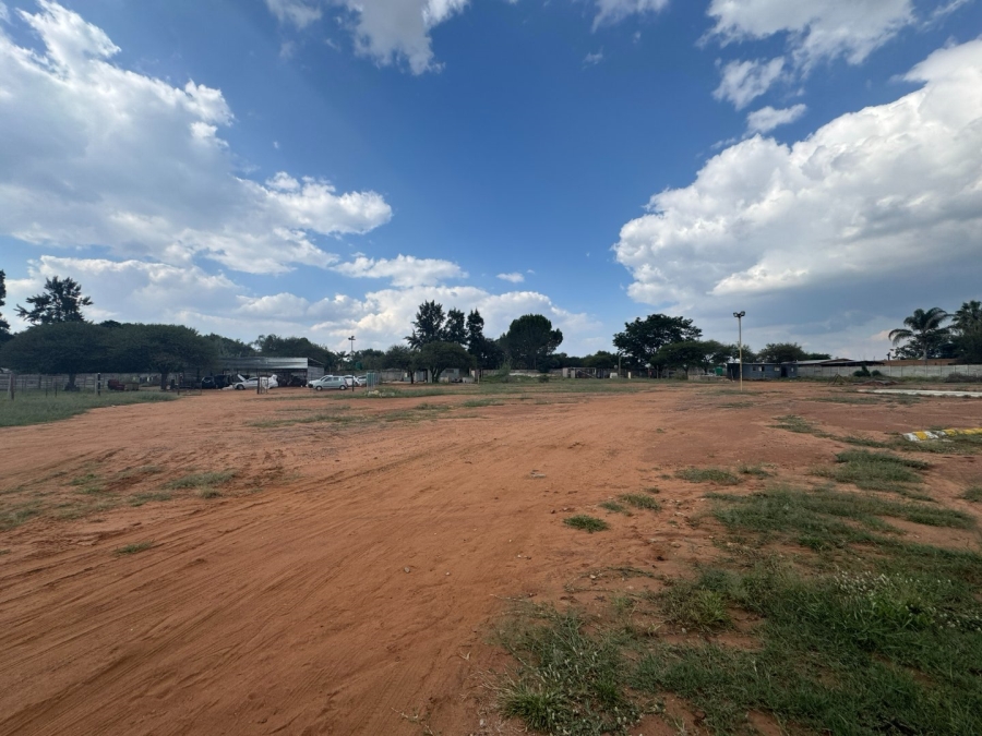 To Let commercial Property for Rent in Ivydale A H Limpopo